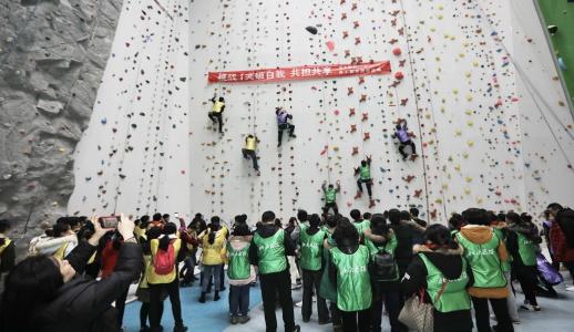 �ڲ�����Ϸ������(�й�)רҵ����,����Ϊ��