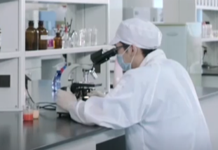 �ڲ�����Ϸ������(�й�)רҵ����,����Ϊ��