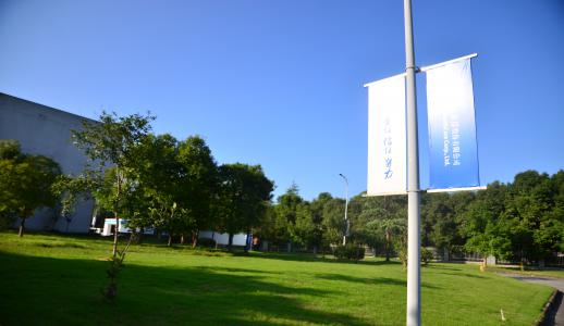 �ڲ�����Ϸ������(�й�)רҵ����,����Ϊ��